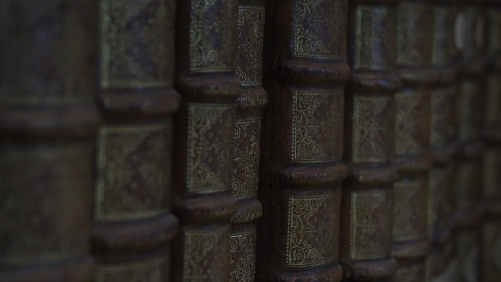 Cultivating a Growth Mindset in Education